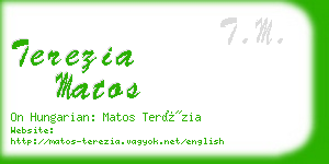 terezia matos business card